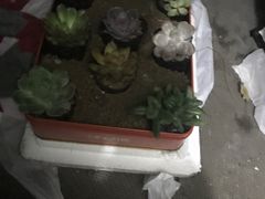 -KKV(深圳宏发大仟里店)