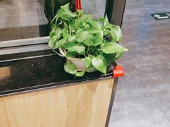 -鸽子窝(宋庄店)