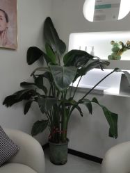 -Dr.Jane皮肤管理中心