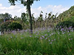 -贵阳市花溪国家城市湿地公园
