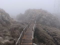 -苏木山森林公园