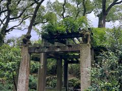 -天一阁博物院