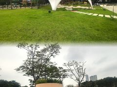 -二沙岛艺术公园