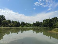 -桤木河湿地公园