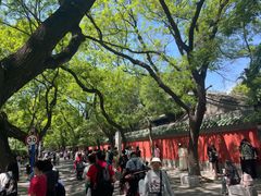 -北京国子监胡同