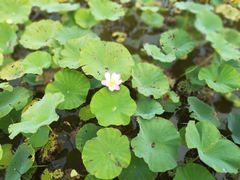 -天津东丽湖风景区