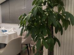 -圆苑(静安寺店)