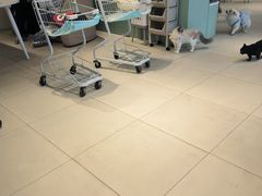 -怪兽屋·羊驼·猫咖·狗咖(俊华广场店)