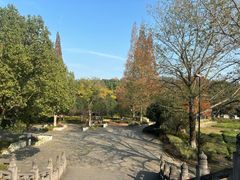 -慈城古县城景区