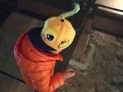 -世界恐龙谷景区