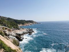 -广东惠东海龟国家级自然保护区