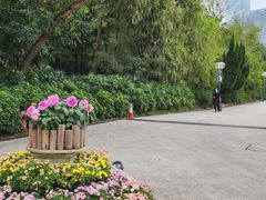 -九龙公园