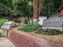 -马王堆汉墓遗址