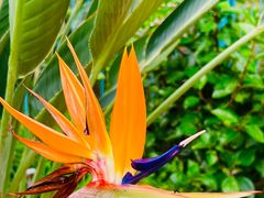 -国家植物园南园