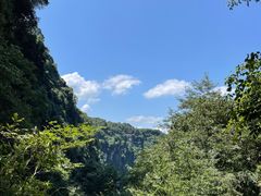 -碧峰峡风景区