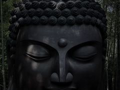 -杭州植物园