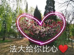 -中国政法大学(昌平校区)