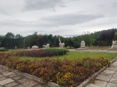 -北京十三陵国家森林公园蟒山景区