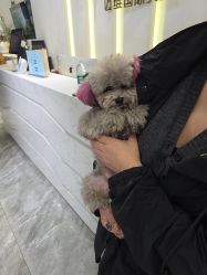 点击看大图 -MY WAY SALON