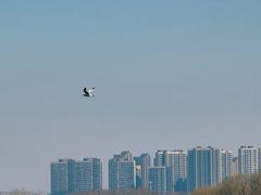 -丁香湖公园