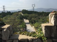 -原山国家森林公园