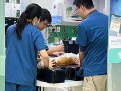 -瑞派动物医院·猫专科·至诚(江南中分院)