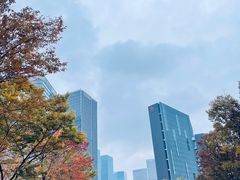 -城市阳台