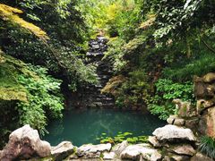 -十八棵（老龙井）御茶园(老龙井店)