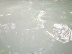 -湖泉半山温泉