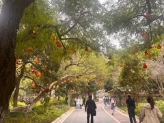 -灵顺寺