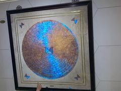 -上海昆虫博物馆