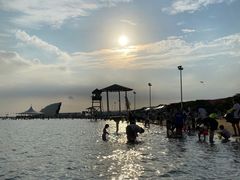 -碧海金沙