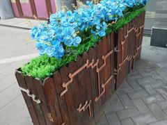 -龙湖星悦荟(颐和店)