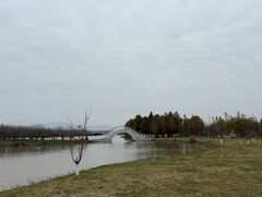 -漩门湾国家湿地公园