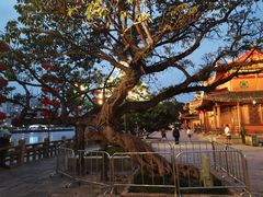 -江心屿景区