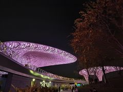 -春满园·早茶·粤菜·宴会(前海店)