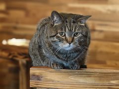 -云端咖啡私房店(河松街店)