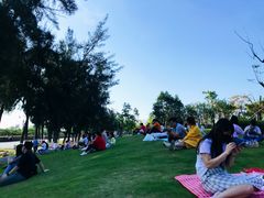 -宝安西湾红树林湿地公园