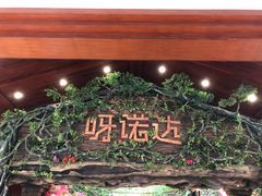 -呀诺达热带雨林