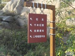 -洋山深水港