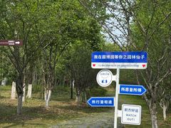 -武汉园博园(武汉自然博物馆)