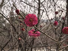 -北京鹫峰国家森林公园