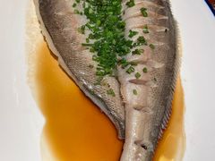 清蒸黄鱼-hallch好吃餐厅(奥体中心店)