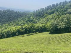 -敬亭山风景名胜区