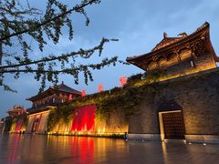 -东台西溪天仙缘景区