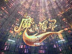 -海合安武汉极地海洋公园