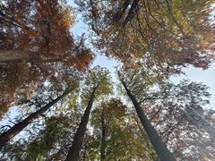 -四海公园(南山区)