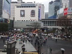 -涩谷区