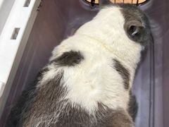 -联合动物医院(光谷诊疗中心)