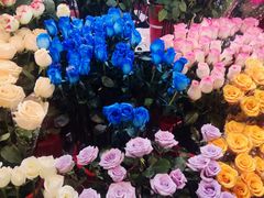 -越秀西湖花市(广州城市广场花卉店)